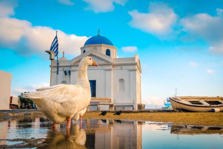 Kapı vizesi Yunan adalarına ilgiyi artırdı